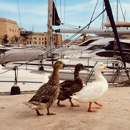 Prázdninový dům Il-maxtura - Charming 17th Century House Of Character In The Historical Three Cities Cospicua