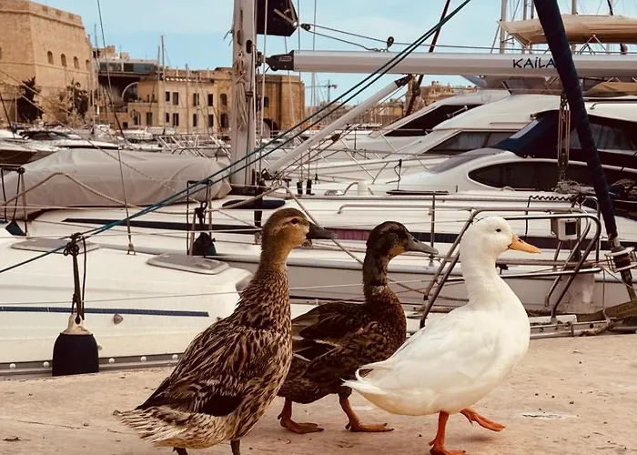Сasa de vacaciones Il-maxtura - Charming 17th Century House Of Character In The Historical Three Cities Cospicua